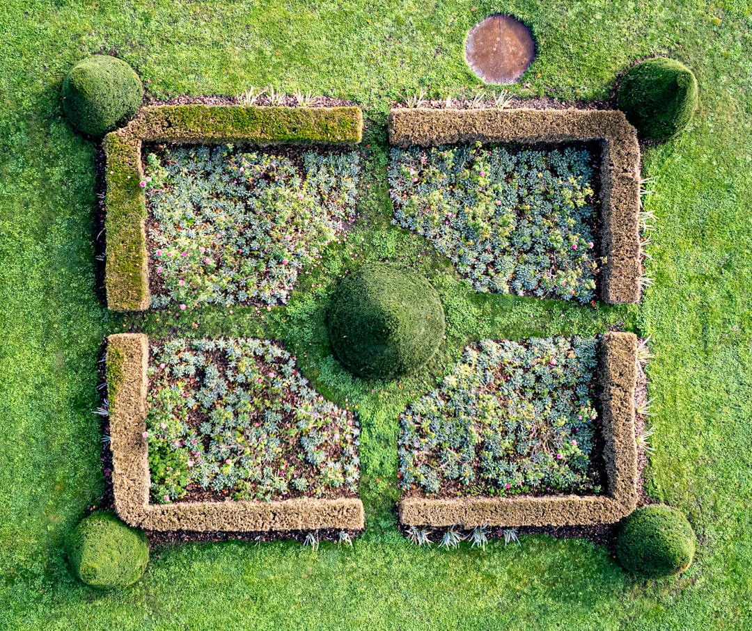 Hecke schneiden: zo doe je het goed en op het juiste moment